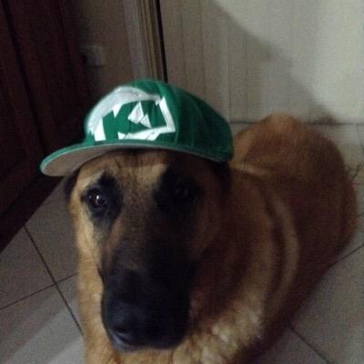 JakeSte07647799's profile picture. 