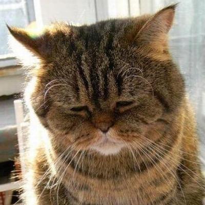 フリーランス3DCGキャラモデラー ゲームからアニメまで色々やります。