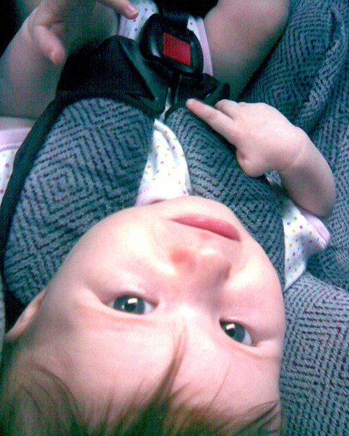 elandant's profile picture. 