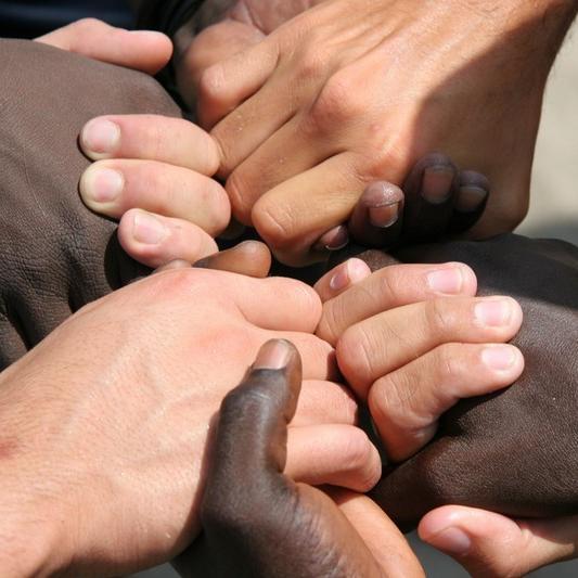 Coordonnateur de projet de Solidarité internationale et locale, Ingénieur en Agriculture - ONG Le Partenariat - Guinée