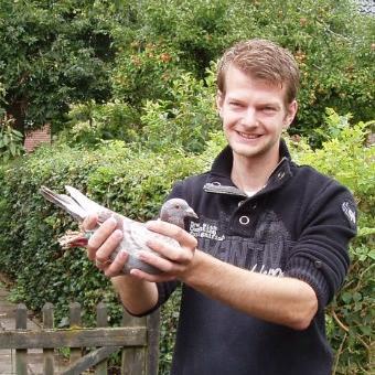 juhet's profile picture. Faber Pigeons