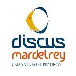 Discusmardelrey's profile picture. Tu Tienda de Animales. Estamos en Alicante en la Calle San Mateo nº 35. ¡Ven a visitarnos!. También disponemos de tienda online.