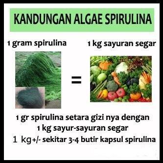 Hub pin:51D3DB1A  Mau? Kulit Cantik Putih Cerah|Bebas Jerawat, Bekas Jerawat|MASKER GANGGANG BIRU LANGKA follow @cantikwajahku