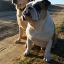 Juan Manuel Menor Ma - @juancho_menor - Twitter