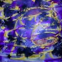 Samia Karam - @SamiaMabalash - Twitter