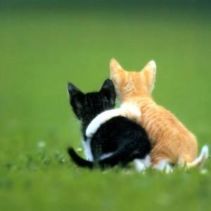 apoyomoral20's profile picture. Por más mal que te sientas, siempre ahí estaré yo.