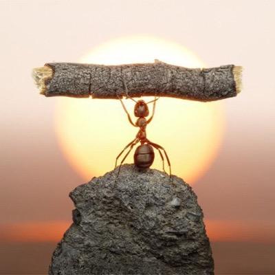 DophuongVan's profile picture. ko hoi tiec