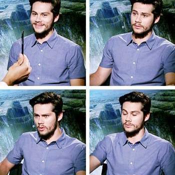 I love Dylan and Taylor swift.