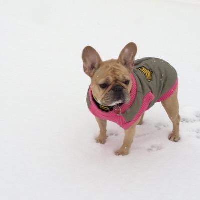 DaveCarrollFILM's profile picture. Filmmaker | Director of Photography (Local 600)