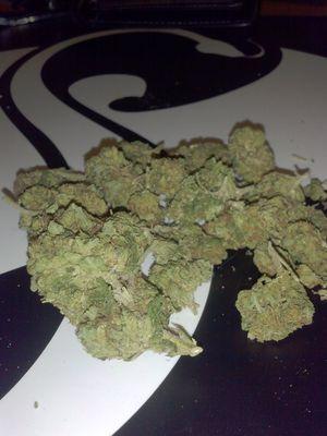 StrangeNThrowed's profile picture. not affiliated with strange music , here to spread good music and good bud     #StrangeMusic