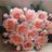 amelina_lina's profile image