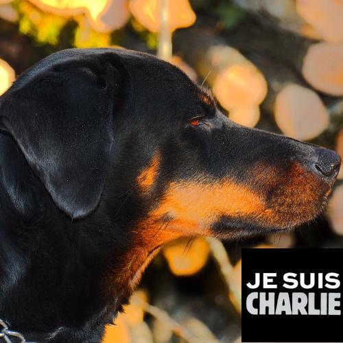 Photographe amateur, geek, programmation (Python, JS, PHP, ...) gros lecteur et j'ai oublié plein de trucs mastodon https://t.co/W3WFFr48Q0