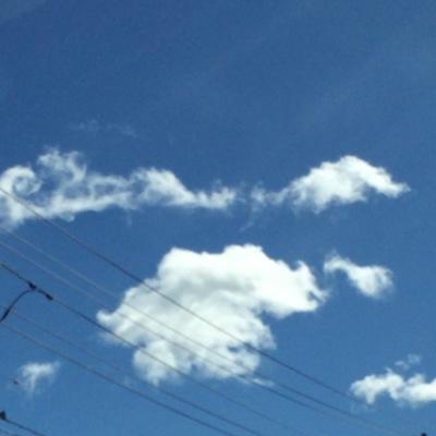 使っていないのでフォロー外してください。
