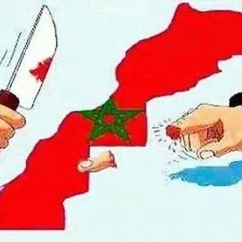 NBanouni's profile picture. 