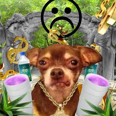 mexican-chihuahua-fdb (fuck dat bitch) ganja 420 blaze it