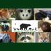 Woodlands Wildlife (@wildrehab) Twitter profile photo
