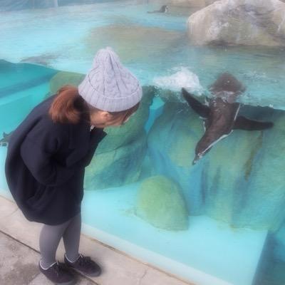 幼稚園の先生13年目してます☆ くま 子ども カフェ 文房具 大好き！ 子どもっぽい性格してますが、頑張って仕事してます！笑 そんな私ですが、どうぞよろしく＊ 毎日笑顔でわくわく届けられるよーな先生を目指してます(*^^*)