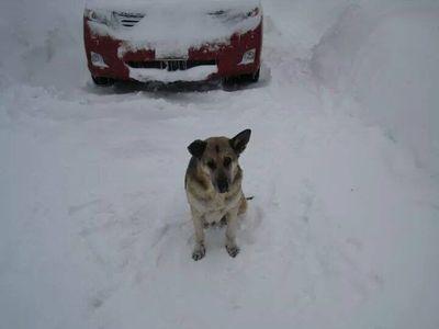 AllenLuzier's profile picture. myself and penny the lesbian that lives in my head are just alright !!!Arctic Monkeys.medication for you're damaged Soul