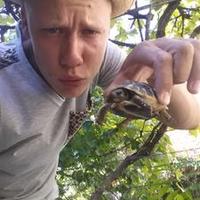 Tom Boshoven (@tomboshoven1) 's Twitter Profile