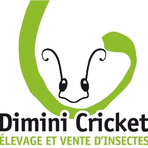 Elevage et vente d'insectes comestibles. #InsectesPourTous #Entomophagy #EdibleInsects