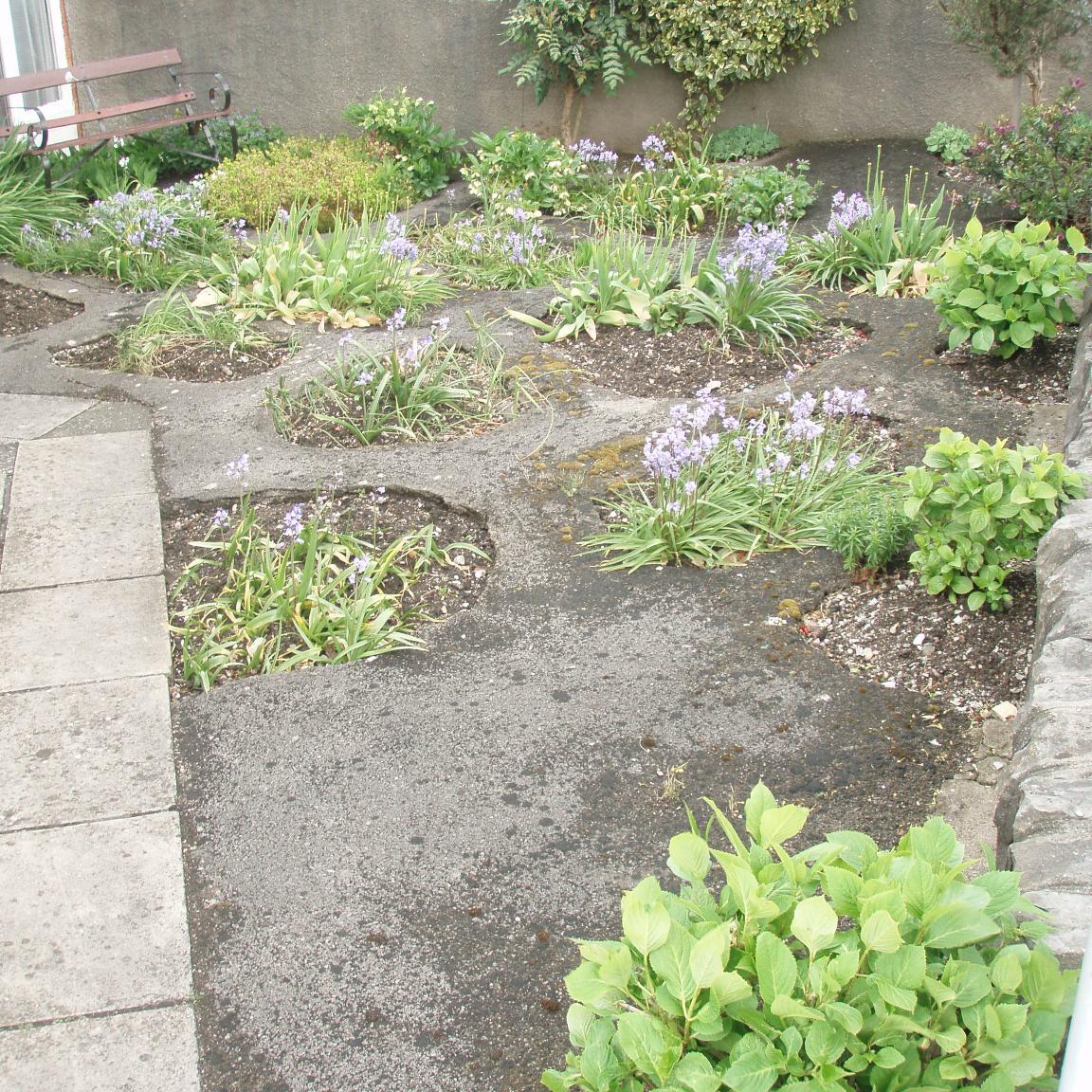 McrPermaculture's profile picture. Bringing together permaculture people in and around Manchester.