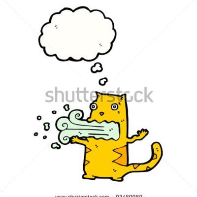 fraudCowboyFan's profile picture. go cowboys