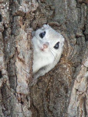 ccicci_9834's profile picture. 흐흐ㅡ히히흐히흐히흫