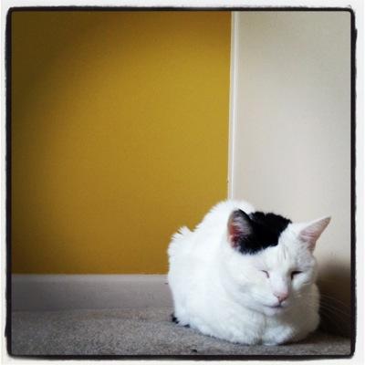 a_gunara's profile picture. 