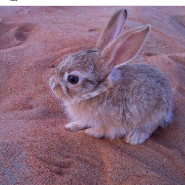 abdrahm13294321's profile picture. اللهم انتى السلام ومنكم السلام تبارك يا ذى الجلال والاكرام ًـــ لا حولى ولا قوتى الى بالله ــ سبحان الله ــ الحمد لله ــ الله اكبر