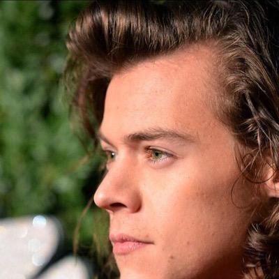 please follow @skunknarry and RT this tweet thankyou https://t.co/iu5qUvgc2P