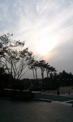 jsysdo's profile picture. 