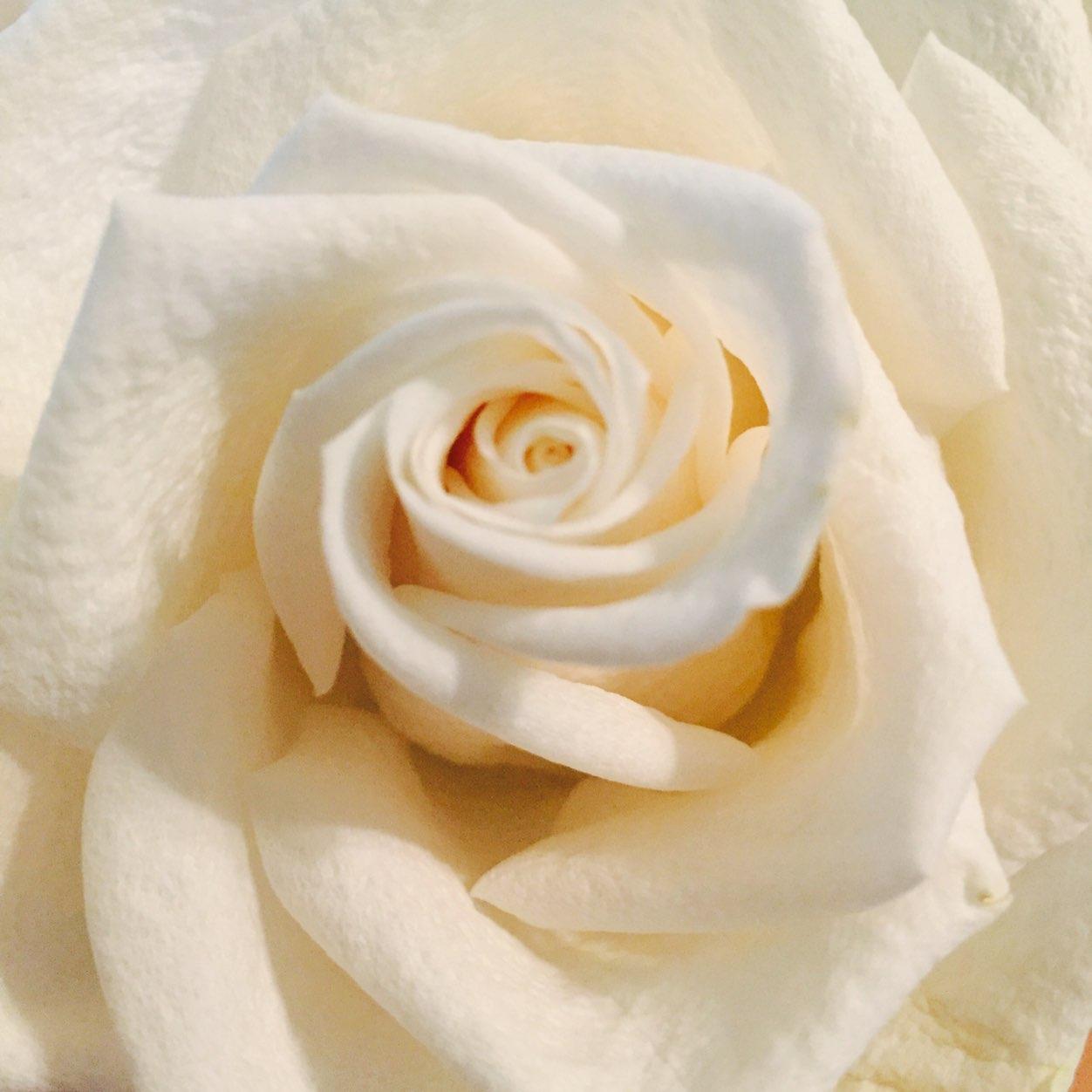 witness to truth and beauty through photos, poetry and prose. more on Instagram @yogamusings