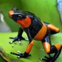 delete - @danielle_ritz - Twitter