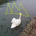 Benjamin Steffen - @oven_ben - Twitter