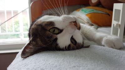 s_jack85's profile picture. 