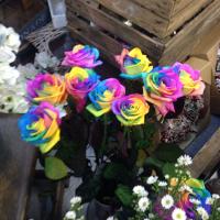 Clares Flowers (@bawtryflowers) 's Twitter Profile Photo Clares Flowers (@bawtryflowers) 's Twitter Profile Photo