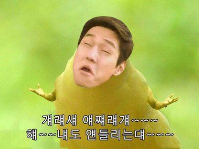 이렇게나 예쁜 나의 星