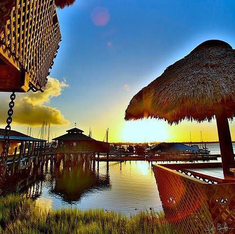 theconchhouse's profile picture. Take a little trip to the Caribbean.  We have a full service 200 slip marina, waterfront restaurant, 17-room motel, and world famous lounge!