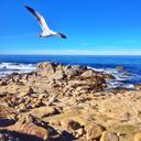 Kyle Trudell - @KcTrudell - Twitter