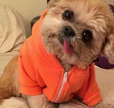 gun_ygn's profile picture. e- posta