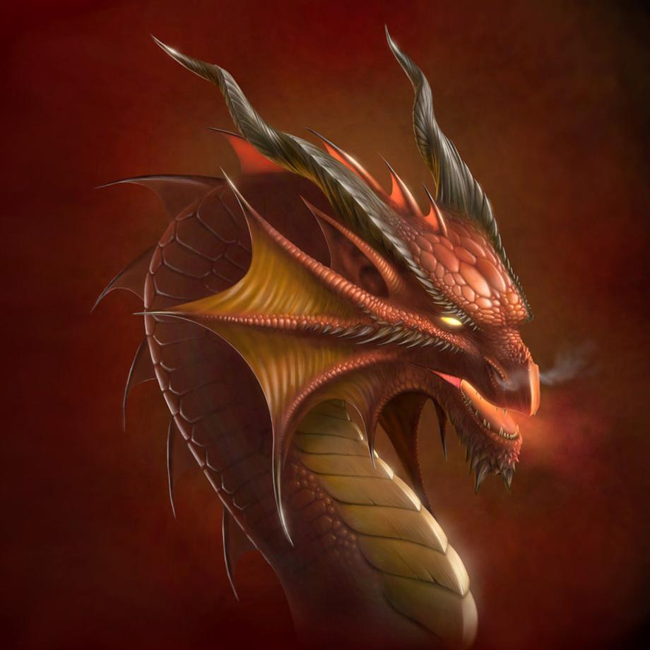 shegoubiec's profile picture. 