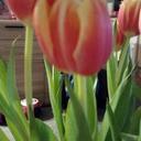 Virginia Schulz - @virginia310504 - Twitter