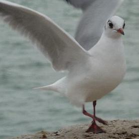 8heur's profile picture. 