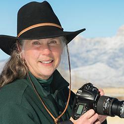 Media/legislative contact for Christian Science in WY.  Growing in #spirituality and #wellness. Using photography to express creation's beauty.