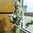 schs_library's profile image