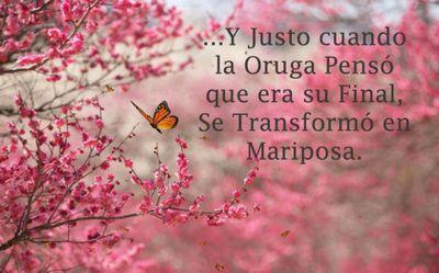 .... trabajadora.... honesta... consiente....reservada..... alegre... :)