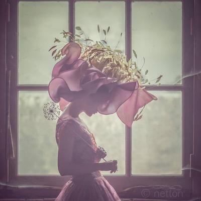 chrisnetton's profile picture. photographer