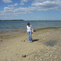 JDB🌻🇺🇲 (@jdbwrs15) 's Twitter Profile