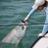 AWOLfishing's profile image