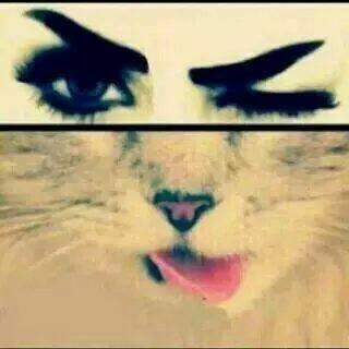 BoSy ,, ♥ ,, B7b EslaaM GamaL ,, ♥ ,, B7B El aKl ^_^ ,, ♥ ,, 16 SaNa ,, ♥ ,, w BasS x'DD